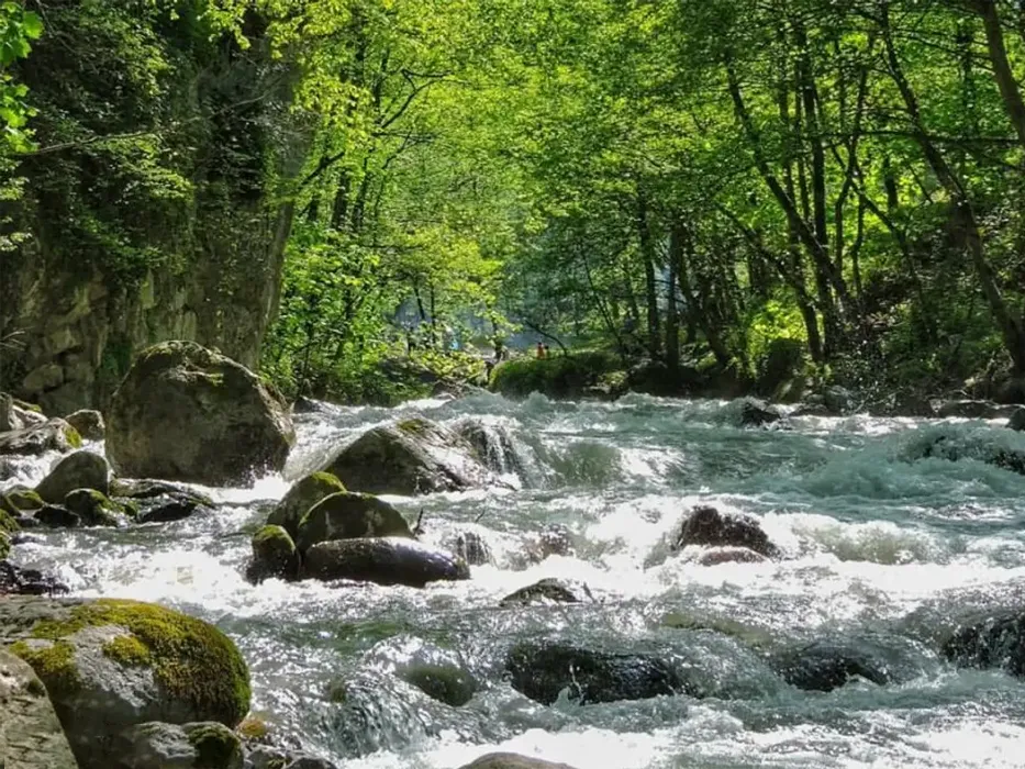 se hezar forests