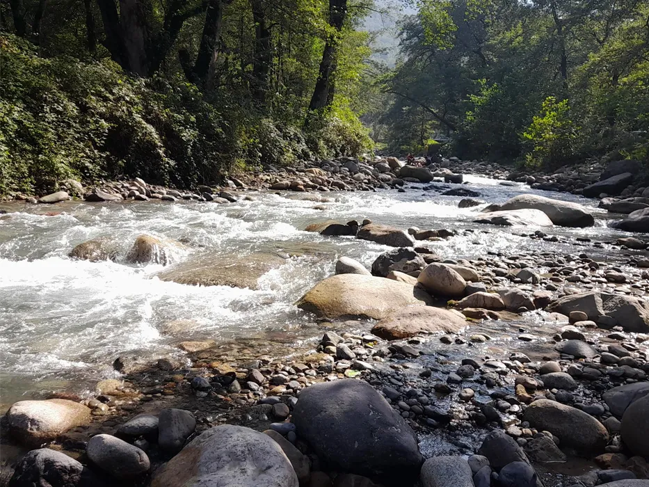 Dohezar forests