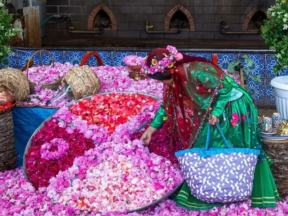 Kashan Rosewater Festival
