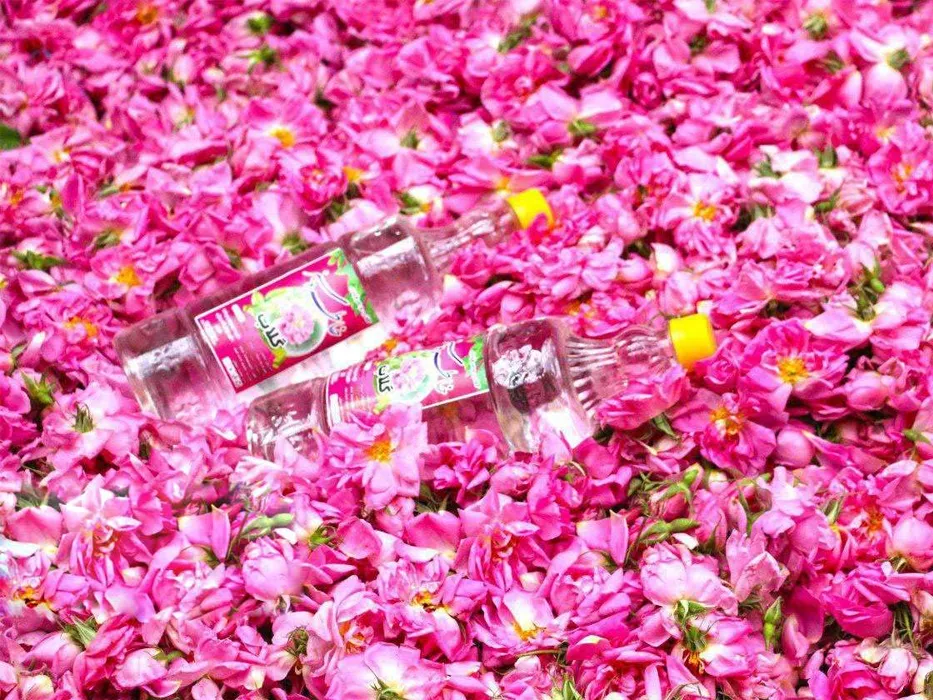 Kashan Rosewater Festival