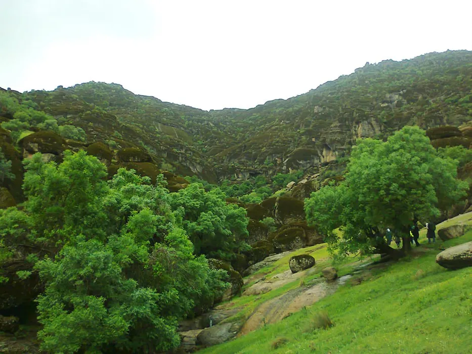 Makhmal Kooh